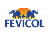 Fevicol